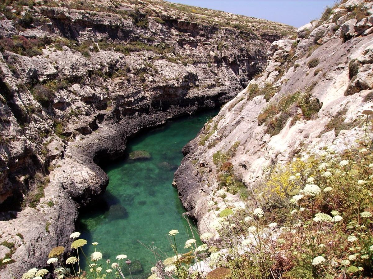 The narrow gorge of Wied il-Għasri winding towards the sea