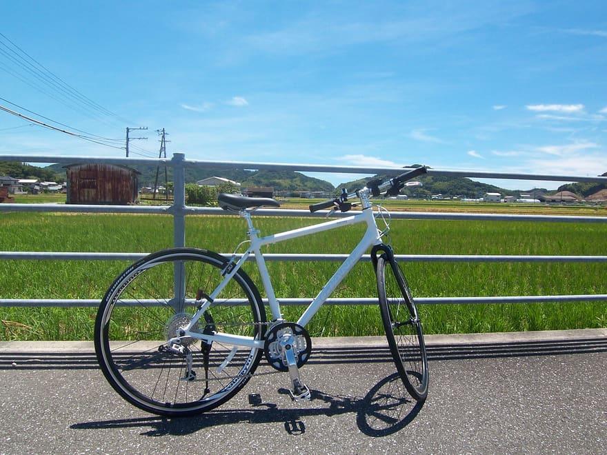 White Giant Escape hybrid bicycle on a sunny country road